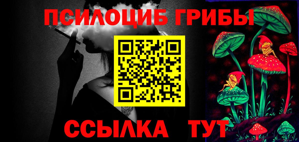 Псилоцибиновые грибы Psilocybine cubensis  Вход с VPN  Норильск 