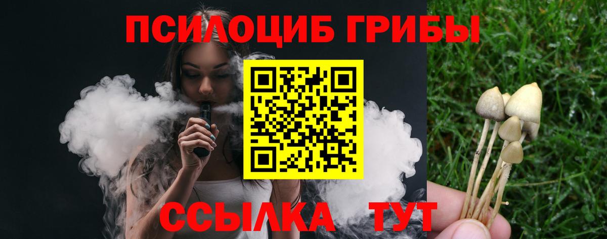 Галлюциногенные грибы Psilocybe Норильск